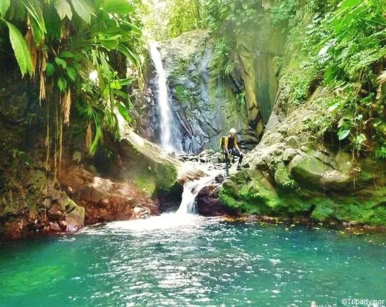 555_441_1680524143_80_canyon-basse-terre Cascade