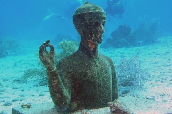 cousteau cousteau