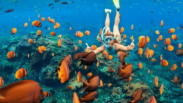 snorkeling snorkeling