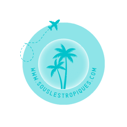 logo slt