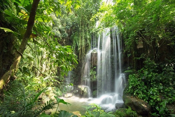 Cascade Cascade