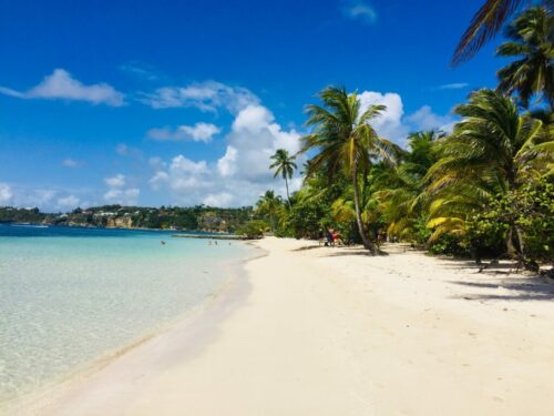 plage guadeloupe plage guadeloupe