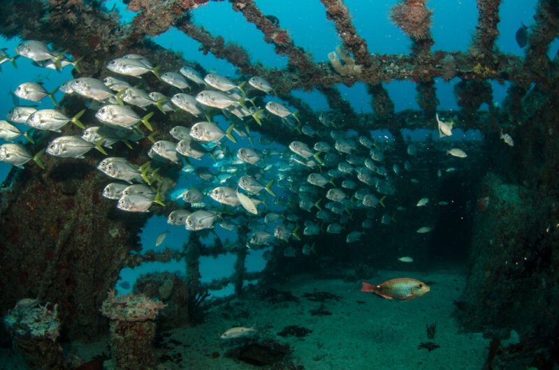épave sous-marine