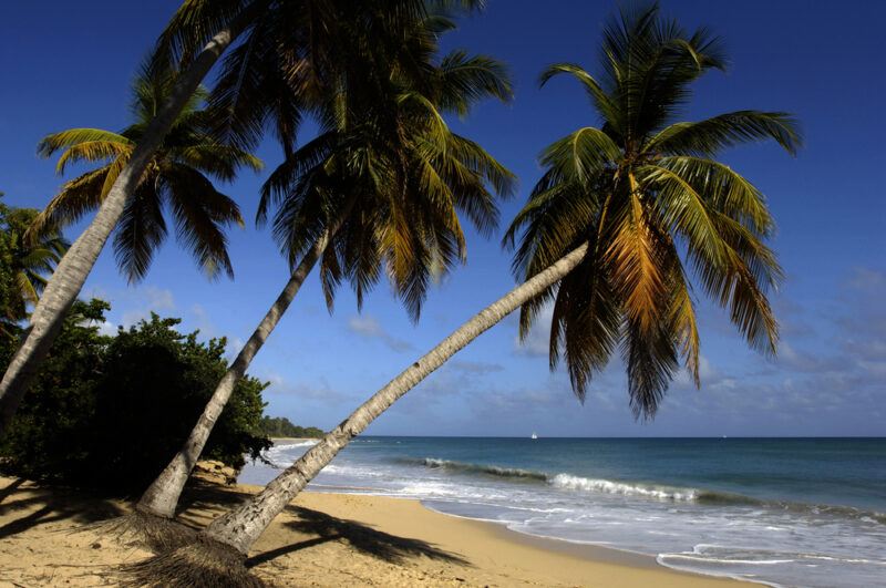 plage à Saint-Anne