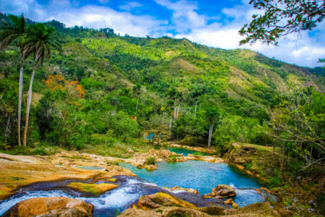 foret tropicale, cuba