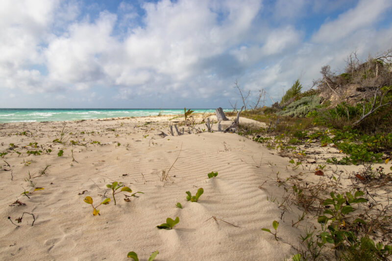 Gold Rock Beach, Bahamas